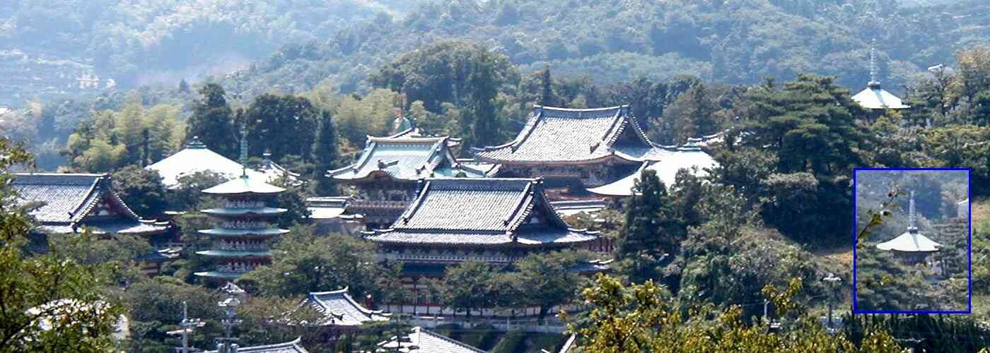 訪問履歴