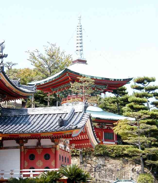 訪問履歴