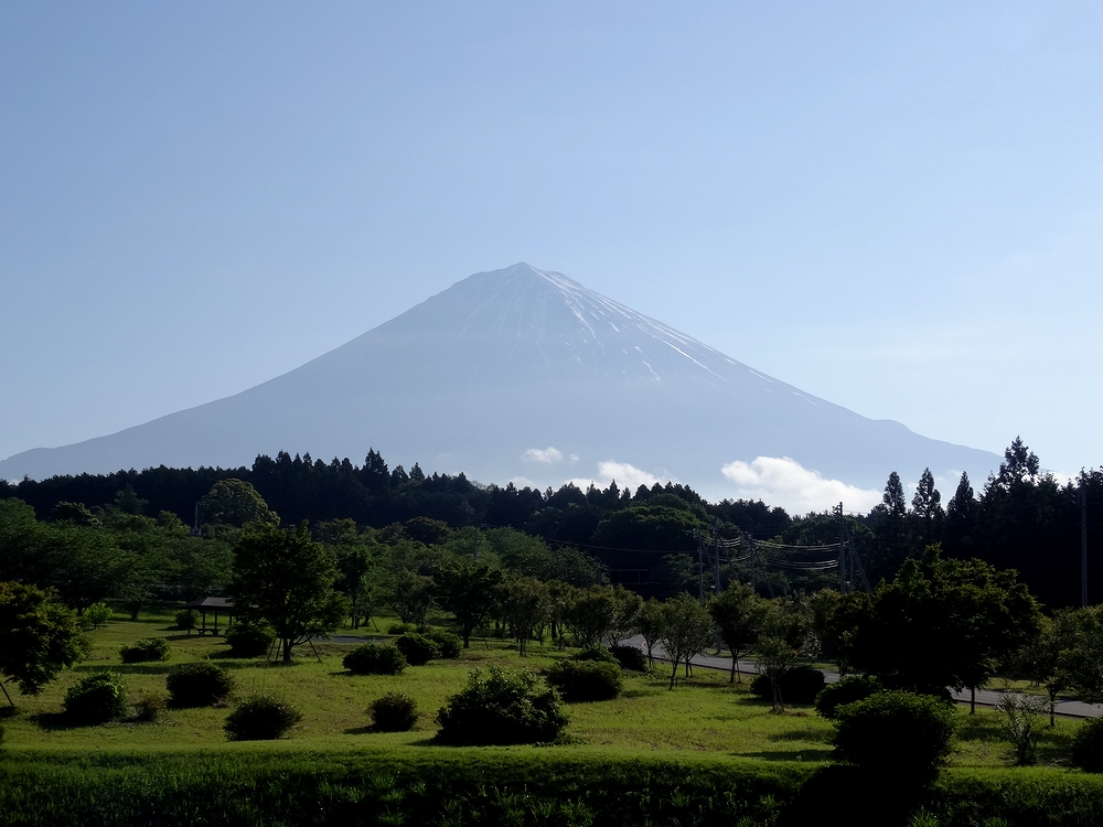 大石寺付近からの富士山